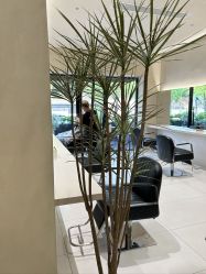 点击看大图 -Garden花園造型