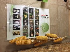 茶马古道饭店-茶马古道·野生菌清汤黄牛肉(沙溪店)