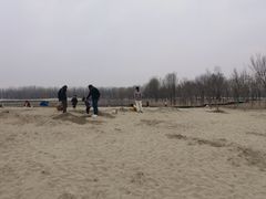 -东郊湿地公园