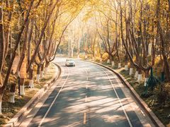 -颐和路民国时期公馆-风貌区