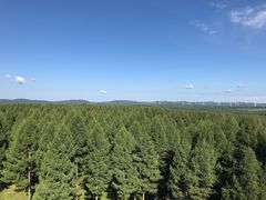 -塞罕坝国家级自然保护区