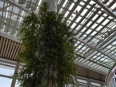 -厦门高崎国际机场-T3航站楼