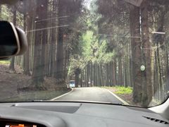 -武陵山森林公园
