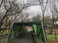 -西湖风景区-江洋畈生态公园