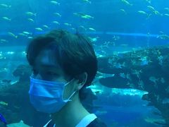 -成都浩海立方海洋公园