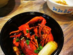 红壳虾-靓靓蒸虾·头牌蒸虾(雪松路总店)
