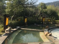 -咸宁太乙国际温泉度假村