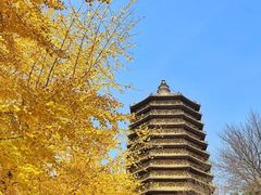 -玲珑塔公园