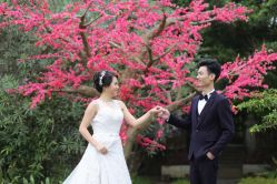 点击看大图 -色色婚纱摄影(大沥旗舰店)