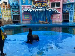 -华夏文旅海洋公园