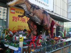 -北京华联购物中心(天通苑店)