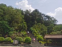 -铁山坪森林公园