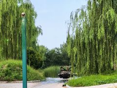 -泉城欧乐堡梦幻世界