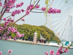 -无锡蠡湖国家湿地公园-蠡园