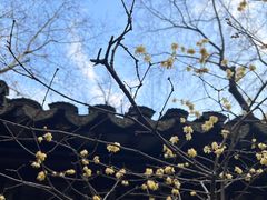 -寒山寺