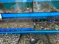 -港畔赶海蒸汽海鲜烧烤自助(仙螺岛店)