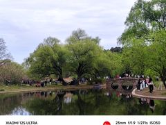 -上海共青森林公园