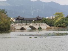 -飞来湖湿地公园