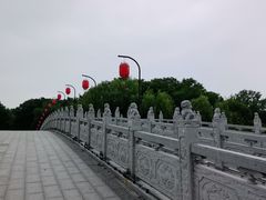 -洛阳市隋唐城遗址植物园