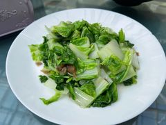 菜圃小白菜-天毓山庄·餐厅