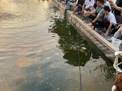 -DGE季风钓虾营地·团建·聚会