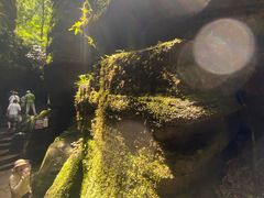 -梭布垭石林景区