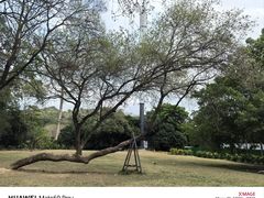 -中国科学院华南植物园