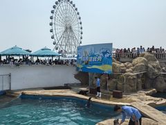 -秦皇岛乐岛海洋王国