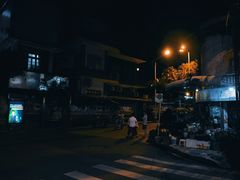 -溪岸路花鸟市场