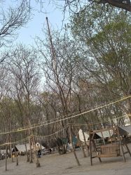 点击看大图 -268童话露营农场·烧烤·团建
