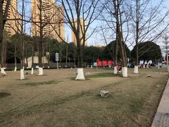 -重庆市江北嘴中央商务区中央公园