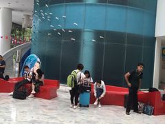 -深圳东部华侨城瀑布酒店