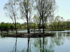 -大兴滨河森林公园