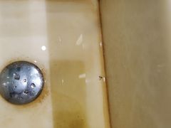 -上海滴水湖皇冠假日酒店