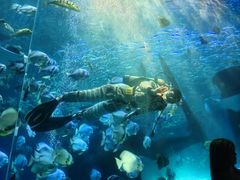 -哈尔滨波塞冬海底世界