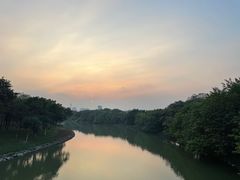 -海珠湖公园