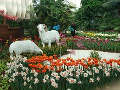 -石家庄市植物园