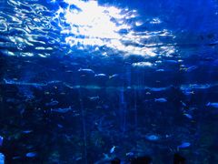 -珠海横琴国家地理探险家中心(创新方)