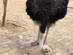 -田园寨农园观光园