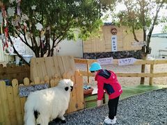 -HERRE·FARM 赫尔露营农场·团建聚会包场