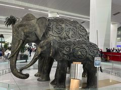 -英迪拉·甘地国际机场