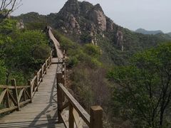 -大岭沟猕猴桃谷风景区