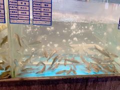 -丹江渔村(首都机场店)