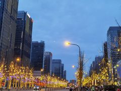 -合景·悠方(成都店)