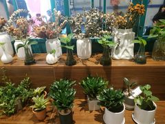 -BOBLOOM花店(宝龙旭辉广场店)