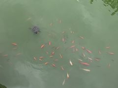 -李叔同故居纪念馆