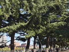 -大连人民广场