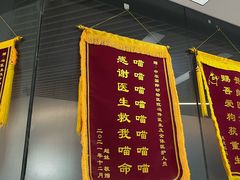 -中农国际动物医院24小时·猫科·骨科·急重症中心