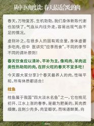 -雅曼妮spa美容养生