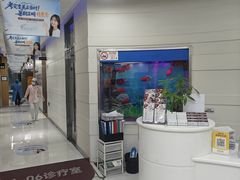 -雅悦齿科(顾村公园店)